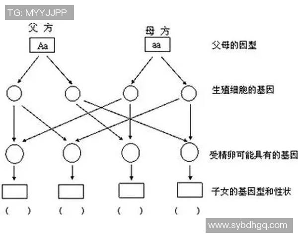 足球明星儿子身高揭秘与父亲的遗传基因关系分析