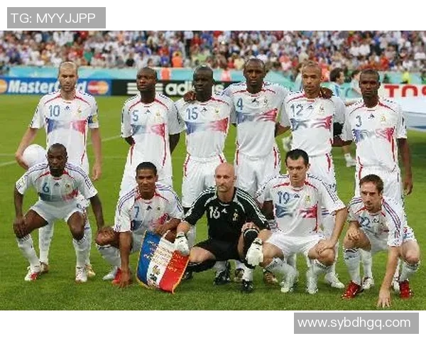 回顾2014年法国队足球明星阵容及其在世界杯上的精彩表现